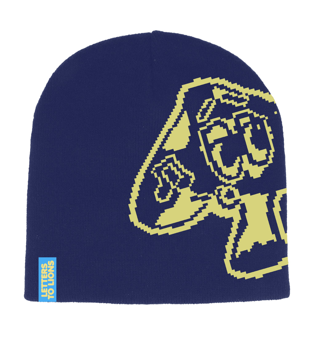 Mushy Skully Beanie | Navy